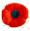 Poppy